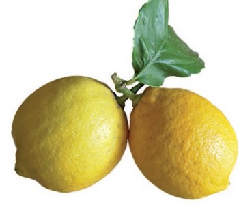 Limoni.